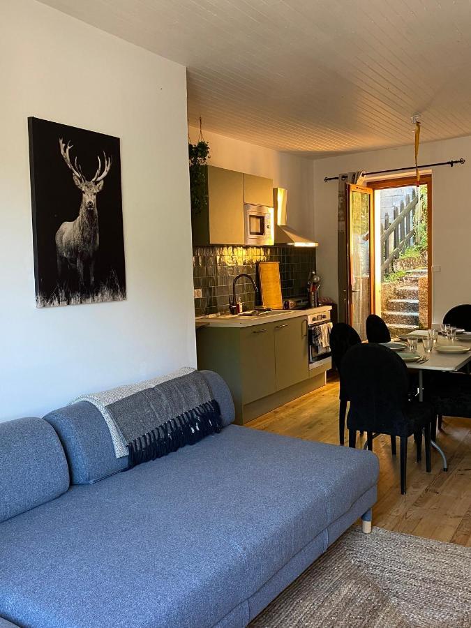 Maison Pyrenees Saint-Aventin エクステリア 写真